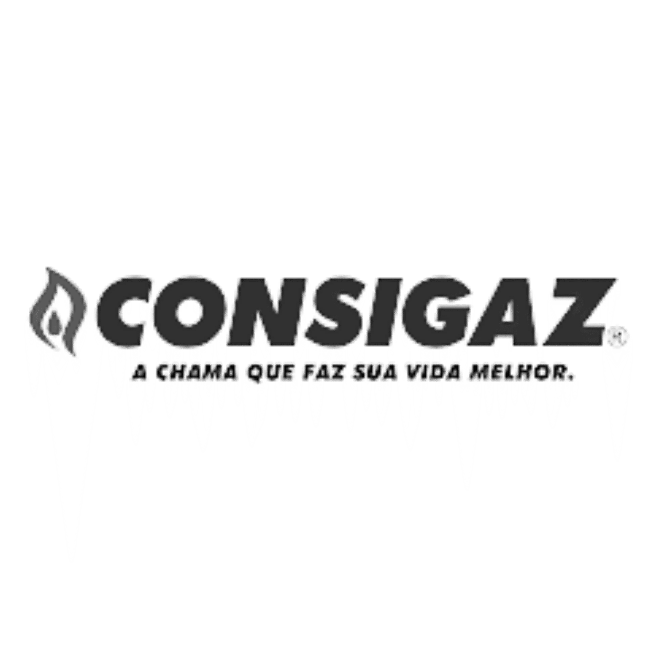 CONSIGAZ-Cinza